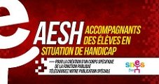 AED-AESH-CUI : compte-rendu de la CCP du 21 juin 2017