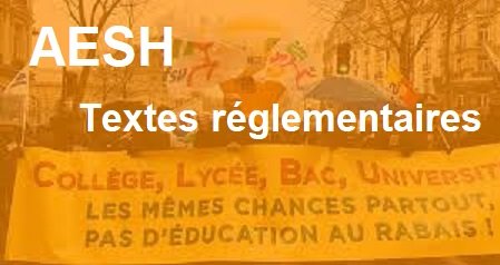 Tout savoir sur les AESH (ex AED-AVS) (Accompagnant d'Elève en (…)