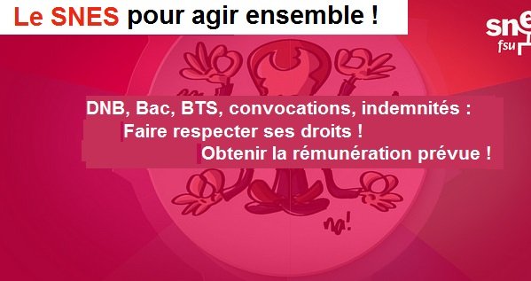 DNB, Bac, BTS, convocations, indemnités : Faire respecter ses droits ! (…)