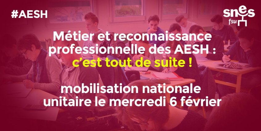 AESH : appel à rassemblement mercredi 6 février pour exiger le métier que (…)