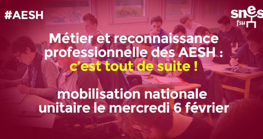 AESH : appel à rassemblement mercredi 6 février pour exiger le métier que (…)